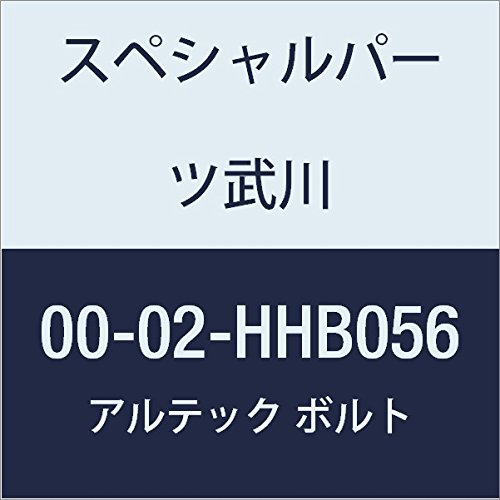 SP武川 ALTECH R.クランクケースカバー用 BL 00-02-HHB056