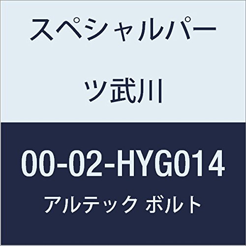 SP武川 ALTECH クランクケースカバー1用 GD 00-02-HYG014