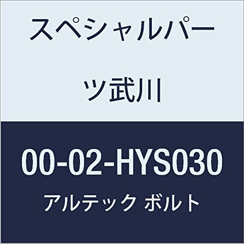 SP武川 ALTECH クランクケースカバー2用 SV 00-02-HYS030