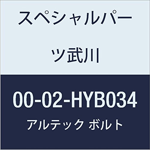 SP武川 ALTECH クランクケースカバー2用 BL 00-02-HYB034