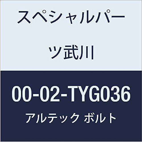 SP武川 ALTECH クランクケースカバー1用 GD 00-02-TYG036