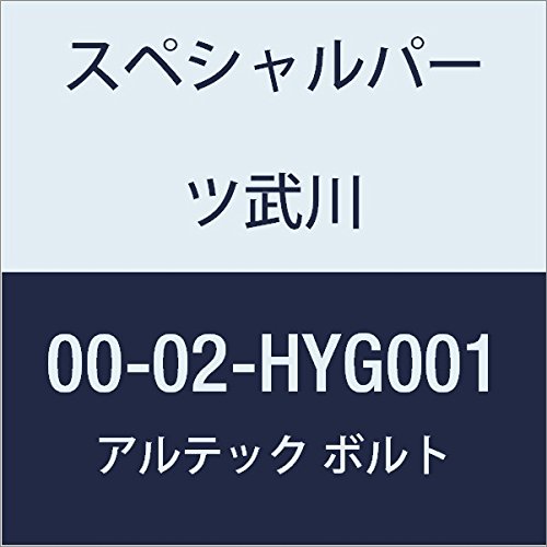 SP武川 ALTECH クランクケースカバー2用 GD 00-02-HYG001