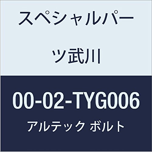 SP武川 ALTECH クランクケースカバー2用 GD 00-02-TYG006