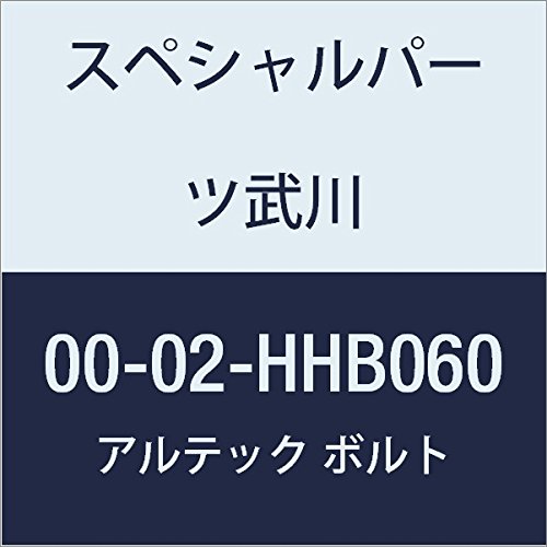 SP武川 ALTECH R.クランクケースカバー用 BL 00-02-HHB060