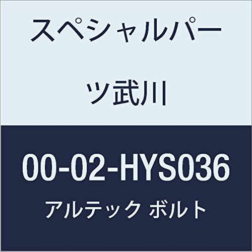 SP武川 ALTECH クランクケースカバー1用 SV 00-02-HYS036