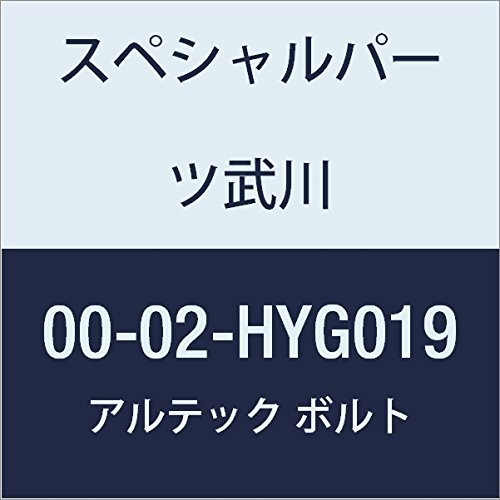 SP武川 ALTECH クランクケースカバー2用 GD 00-02-HYG019