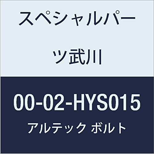 SP武川 ALTECH クランクケースカバー2用 SV 00-02-HYS015