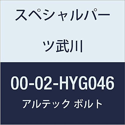 SP武川 ALTECH クランクケースカバー2用 GD 00-02-HYG046