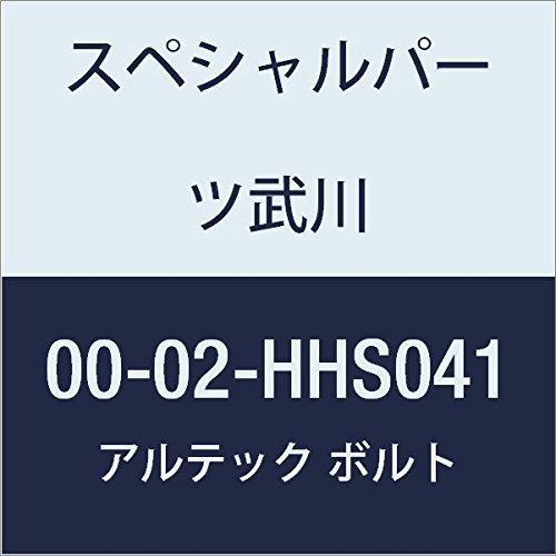 SP武川 ALTECH L.リヤクランクケースカバー SV 00-02-HHS041