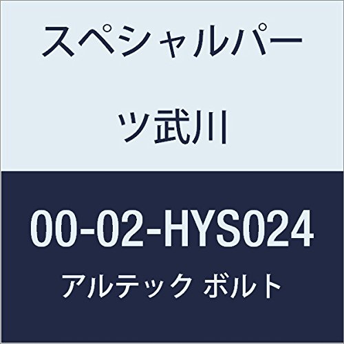 SP武川 ALTECH クランクケースカバー2用 SV 00-02-HYS024