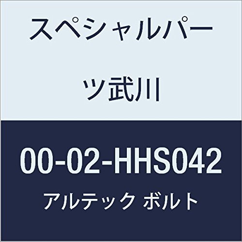 SP武川 ALTECH R.クランクケースカバー用 SV 00-02-HHS042