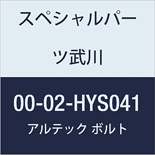 SP武川 ALTECH クランクケースカバー1用 SV 00-02-HYS041