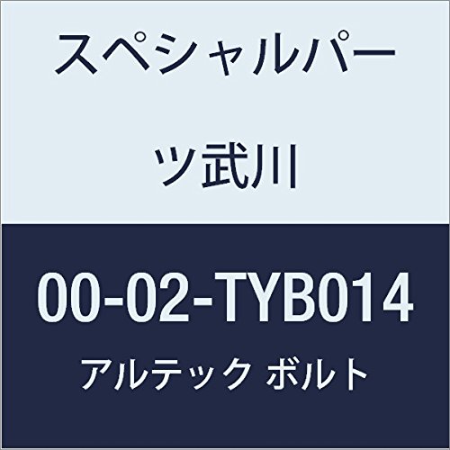 SP武川 ALTECH クランクケースカバー1用 BL 00-02-TYB014