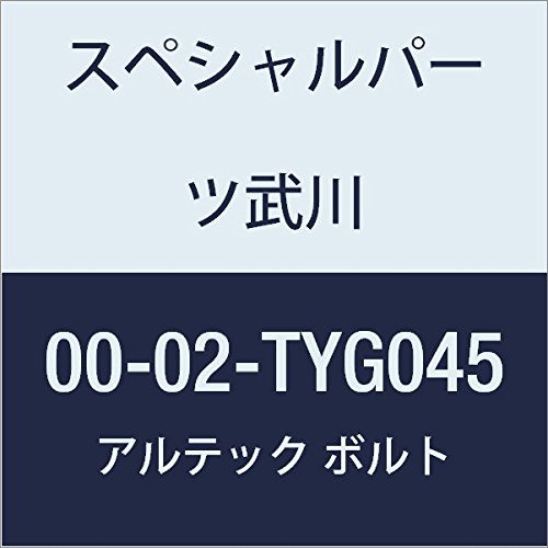 SP武川 ALTECH クランクケースカバー1用 GD 00-02-TYG045