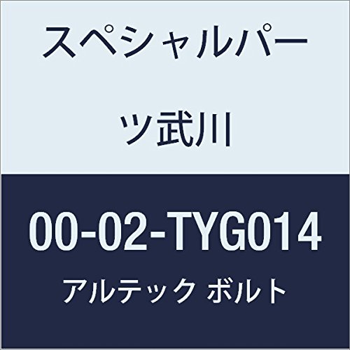 SP武川 ALTECH クランクケースカバー1用 GD 00-02-TYG014