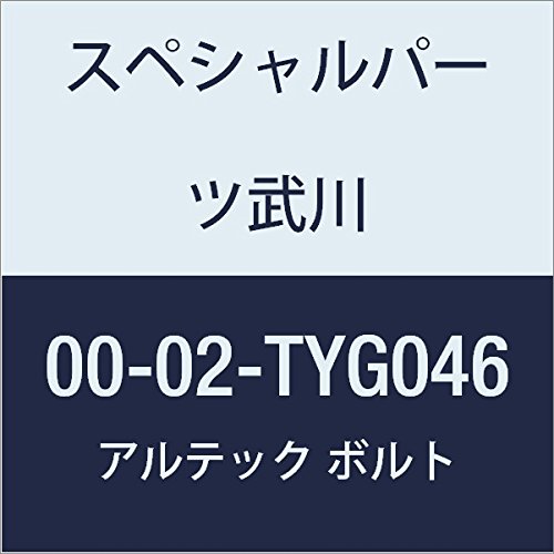 SP武川 ALTECH クランクケースカバー2用 GD 00-02-TYG046