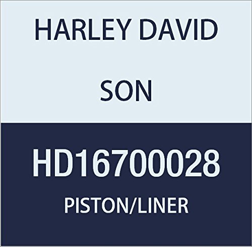 ハーレーダビッドソン(HARLEY DAVIDSON) KIT-PISTON/LINER,69MM BORE HD16700028