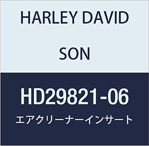 ハーレーダビッドソン(HARLEY DAVIDSON) INSERT, AIR CLEANER COVER HD29821-06