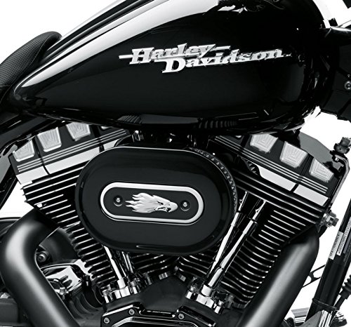 ハーレーダビッドソン/Harley-Davidson バーストコレクション/エンジンカバー/ロッカーボックスカバー/25700251ハーレーパーツDerby, Timer & Air Cleaner Covers/ENGINE TRIM 25700251