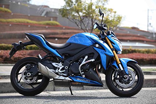 ゴールドメダル(GOLD MEDAL) スラッシュガード アルミニウム A5052 バフ仕上げ GSX-S1000 SGS20-1