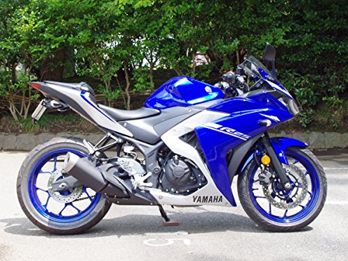 ワールドウォーク YZF-R25/3 MT25/03用フェンダーレスキット【車検対応】 wfl-01