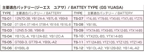 キタコ(KITACO) ターミナルボルト&ナット <TS-06> 5X10/2pc 【品番】 0901-200-00006