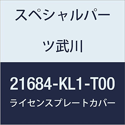SP武川 ライセンスプレートステー KSR-1/2/110 21684-KL1-T00