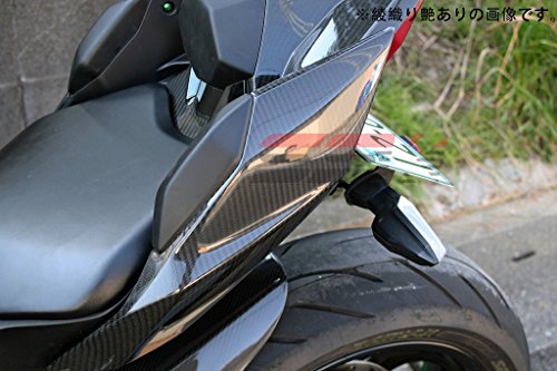 SSK テールサイドカバー ドライカーボン 綾織り艶あり KAWASAKI NINJA H2/H2R CKA0711TG