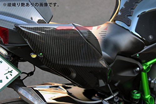 SSK テールサイドカバー ドライカーボン 綾織り艶あり KAWASAKI NINJA H2/H2R CKA0711TG