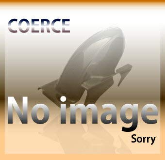 ダックスコーポレーション [COERCE] REAR FENDER ケブラー [FZS1000(RSタイプ) ] [品番] 0-42-CRFK2108 リアフェンダー