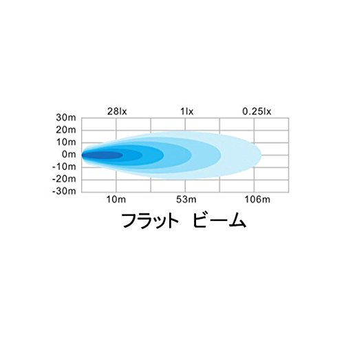 LED 作業灯 ワークライト タイヤ灯 路肩灯 投光器 アメリカ製チップ 90°広角ビーム 10W 小型 ノイズレス対策品 DC12V24V兼用 IP67防水 6000K 白光 バイク/車/船/機械/倉庫 汎用 13か月保証【Lightronic】