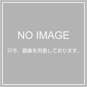キジマ(Kijima) テールレンズ ティムストーン レッド 64x115 217-4099