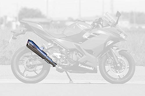 アールズギア (r's gear) ワイバン リアルスペック スリップオンマフラー タイプR チタンポリッシュ '18~Ninja250 RK33-03RT