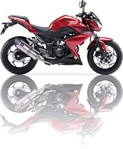 IXIL(イクシル)KAWASAKI NINJA 250-300 R ´13 SLIP ON SOVS-オーバルタイプ IX-OK7036VS