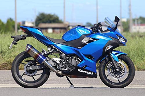 アールズギア (r's gear) ワイバン リアルスペック スリップオンマフラー タイプS チタンドラッグブルー '18~Ninja250 RK33-03SD