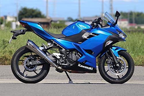 アールズギア (r's gear) ワイバン リアルスペック スリップオンマフラー タイプR チタンポリッシュ '18~Ninja250 RK33-03RT