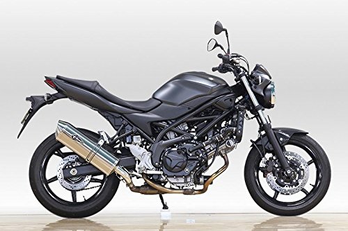 アールズギア ワイバン リアルスペック スリップオンマフラー チタンサイレンサー SV650 ABS RS13-03RT