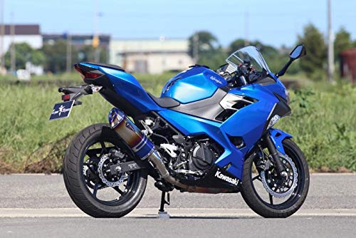 アールズギア (r's gear) ワイバン リアルスペック スリップオンマフラー タイプS チタンドラッグブルー '18~Ninja250 RK33-03SD