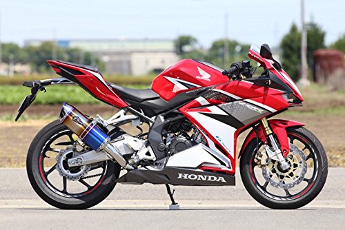 アールズギア ワイバンリアルスペック スリップオンマフラー タイプS チタンDB '17~CBR250RR RH26-03SD