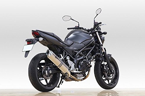 アールズギア ワイバン リアルスペック スリップオンマフラー チタンサイレンサー SV650 ABS RS13-03RT