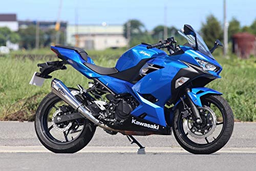 アールズギア (r's gear) ワイバン リアルスペック スリップオンマフラー タイプR チタンポリッシュ '18~Ninja250 RK33-03RT