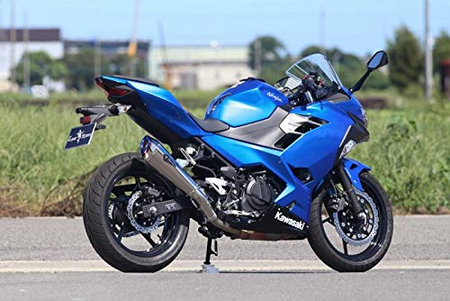 アールズギア (r's gear) ワイバン リアルスペック スリップオンマフラー タイプR チタンポリッシュ '18~Ninja250 RK33-03RT