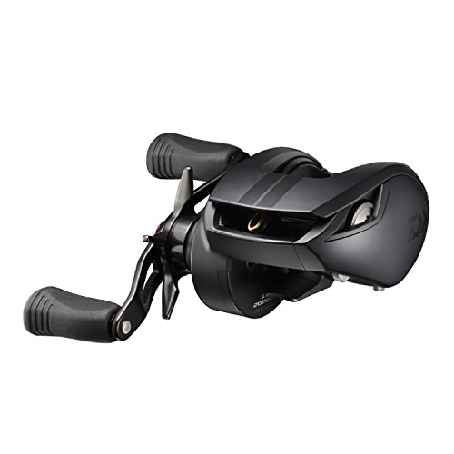 ダイワ(Daiwa) ベイトリール Z 2020 SH BLACK LTD