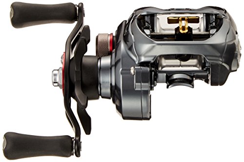 ダイワ(DAIWA) リール タトゥーラ SV TW 7.3R