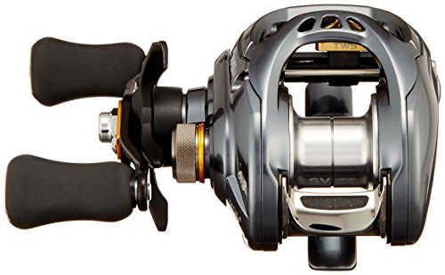 ダイワ(DAIWA) リール タトゥーラ SV TW 6.3L