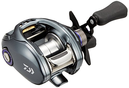 ダイワ(DAIWA) リール タトゥーラ SV TW 8.1R