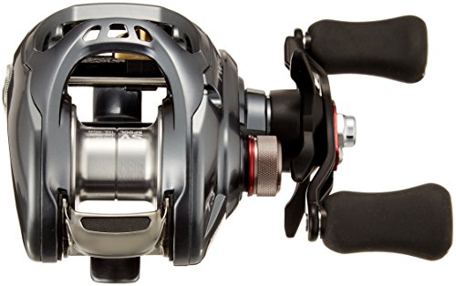 ダイワ(DAIWA) リール タトゥーラ SV TW 7.3R