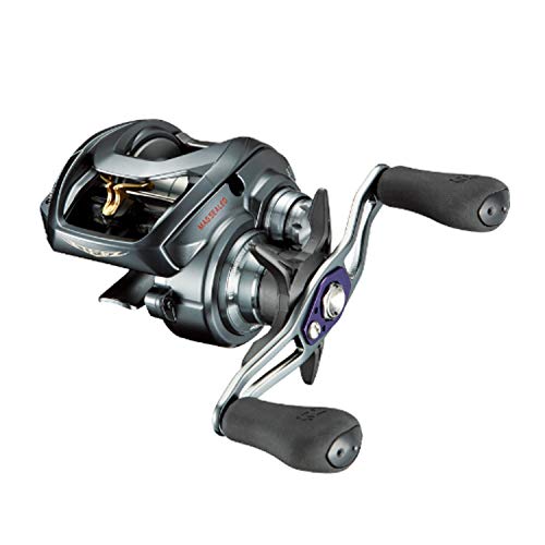 ダイワ(DAIWA) リール スティーズ A TW 1016XHL