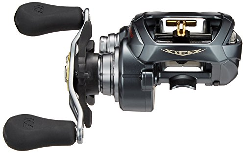 ダイワ(DAIWA) リール スティーズ A TW 1016H