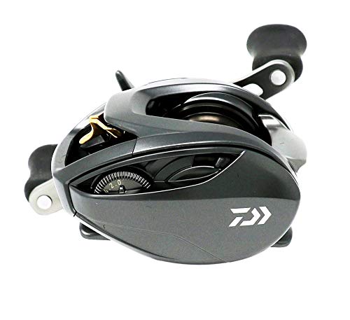 ダイワ(DAIWA) リール スティーズ SV TW 1012SV-XH